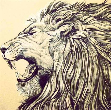 Lion head | DRAW | Pinterest