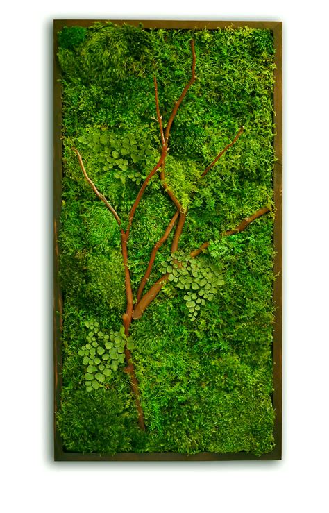 58x58" Real Preserved Moss Wall Art Green Wall Collage No Sticks. No care green wall art. Real ...