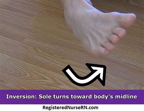 Inversion and Eversion of the Foot, Ankle | Anatomy Body Movement Terms