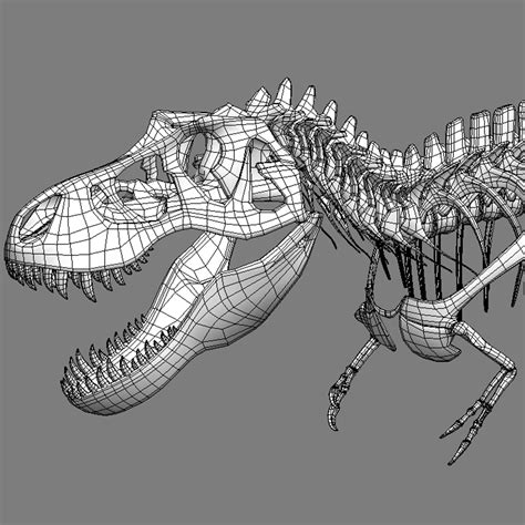 3d tyrannosaurus rex skeleton t-rex model