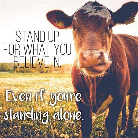 stand up for what you believe in. even if you're standing alone . # ...