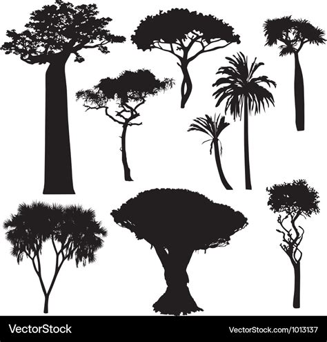 African tree silhouettes Royalty Free Vector Image