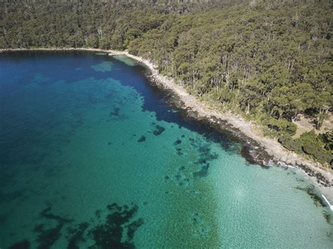 Tasmania: Coastal Bushwalking on the World's Edge - Ecophiles