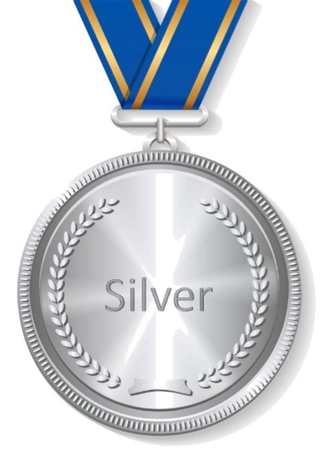 Silver Medal Icon #234020 - Free Icons Library