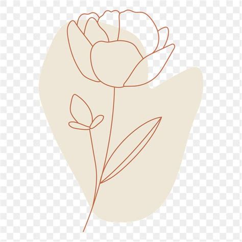 Download premium png of Flower line art transparent png by katie about flower png, rose ...