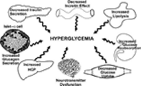 The ominous octet-from "Diabetes 2009" 6. | Download Scientific Diagram