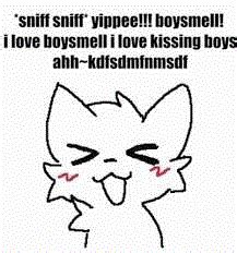 Boykisser Boysmell Meme - Boykisser Boysmell Yippee - Discover & Share GIFs