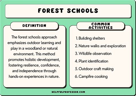 Forest Schools Philosophy & Curriculum, Explained! (2024)