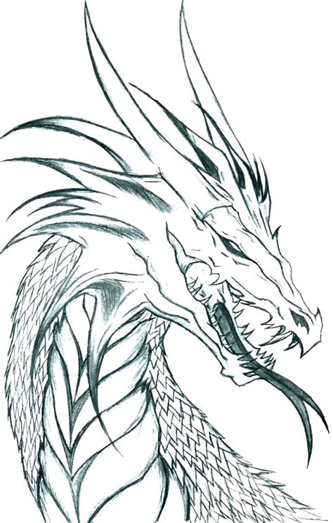 Coloring Pages Of Realistic Dragons at GetDrawings | Free download