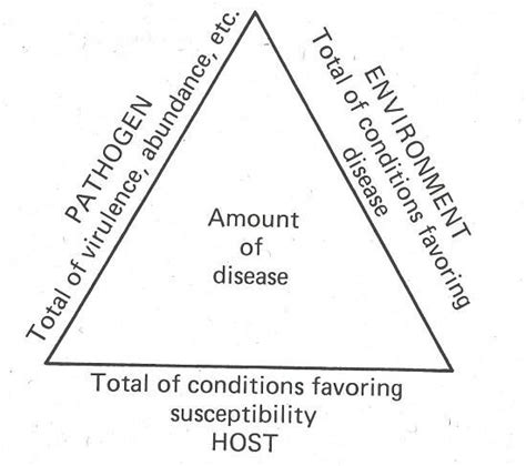 Use the Disease Triangle to Help Your Plants — Minnetrista