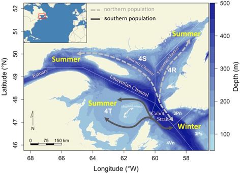 Location of the northern and southern populations of Atlantic cod in... | Download Scientific ...