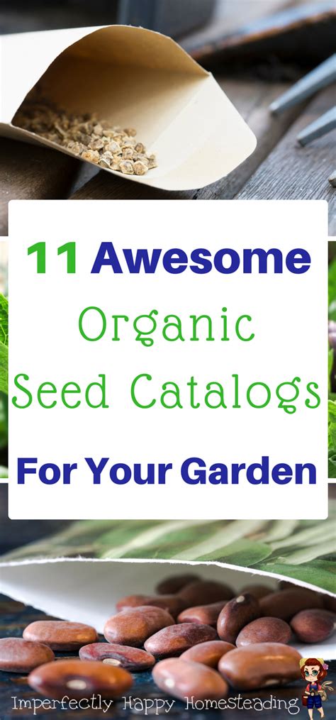 11 Awesome Organic Seed Catalogs for Your Vegetable Garden and ...