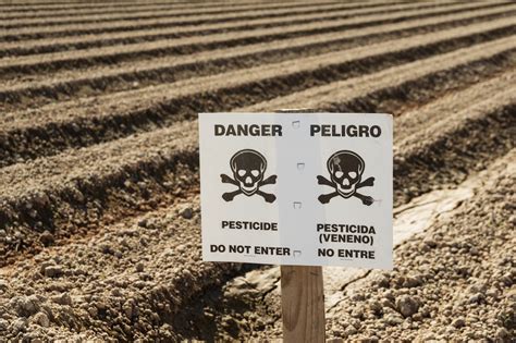 EPA Cancels Ban On Pesticide. 1 Month Later, Farmers Are Getting Sick ...