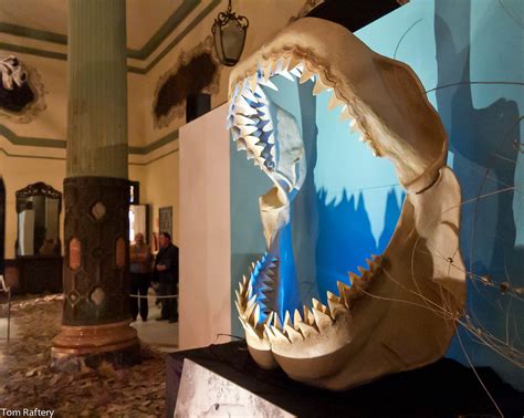 Megalodon Jaws | We went to the Dinopétrea dinosaur fossil e… | Flickr