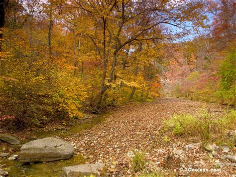 10 Ozarks fall foliage photos - 2Cooleys foliage on water pics