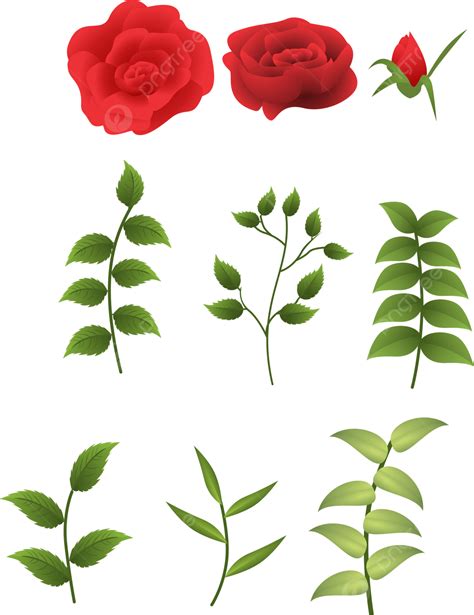 Red Rose Flower Vector Art PNG, Red Rose Flower Elements In Vector Drawing, Red Rose Flower ...