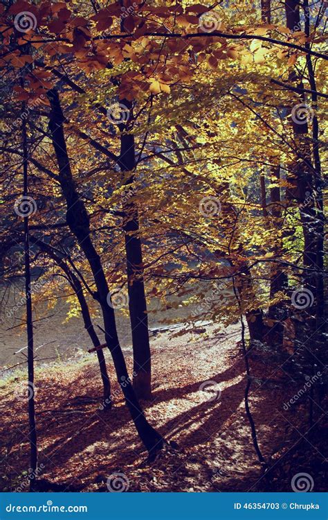 Vintage Photo of Autumn Scenery Stock Image - Image of polish, grunge ...