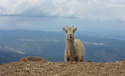 Camping in Colorado: 50+ Best Places to Camp