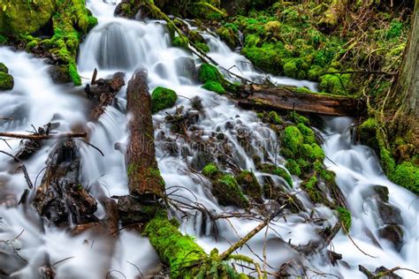 Fairy Falls, Oregon stock image. Image of vegetation, flowing - 3937433