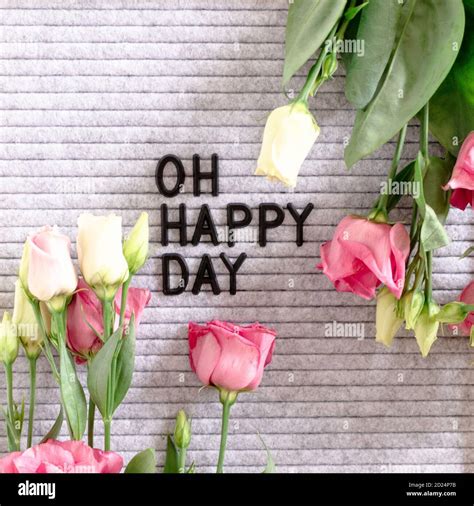 Quote Oh happy day. Composition with felt letter .board and eustoma flowers Stock Photo - Alamy