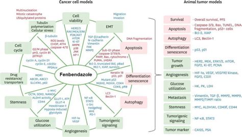 Fenbendazole History - Fenbendazole resource