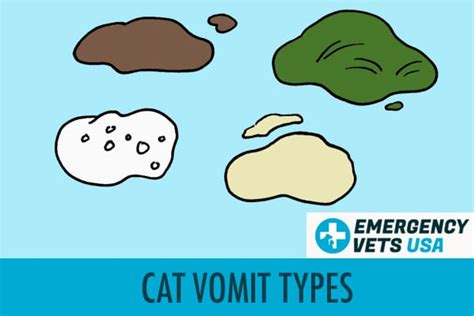 Cat Vomit Color Chart | What Does Your Cat's Vomit Colors Mean