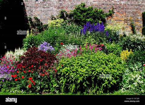 Herbaceous Border Stock Photos & Herbaceous Border Stock Images - Alamy