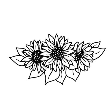 Ikan Clipart Black And White Sunflower - IMAGESEE