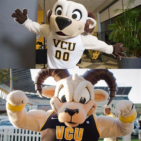 Rodney the Ram | #TransformationTuesday | Vcu, Mascot, Cheerleading