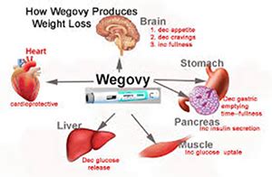 Wegovy Weight Loss Clinic Near NYC | Cost & Side Effects