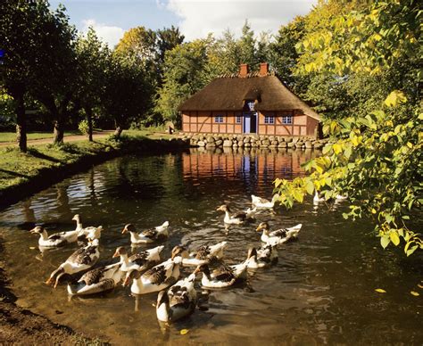 Funen, Denmark, Is Literally a Storybook Island | Denmark travel, Storybook island, Visit denmark