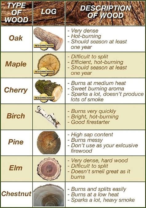 Infographic: Types of Firewood | RECOIL OFFGRID