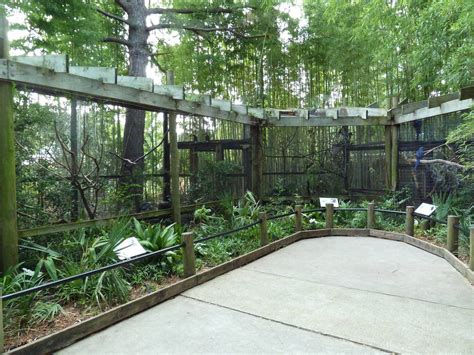 Riverbanks Zoo Aviary | Bird aviary, Aviary, Bird houses