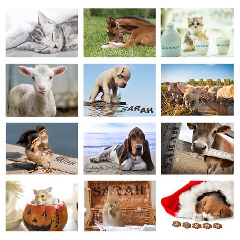 Personalised Cute Animals A4 Wall Calendar