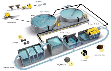 Eco-friendly aquaculture - Follow Green Living