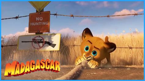 DreamWorks Madagascar | Baby Alex Kidnapped! | Madagascar Movie Clip ...