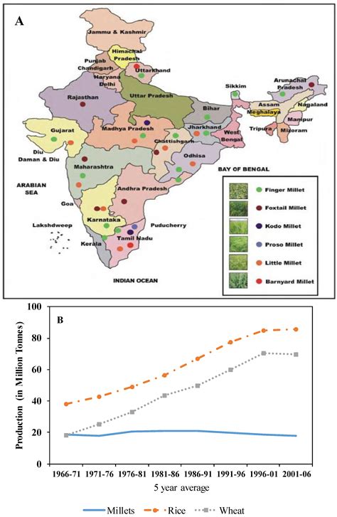 India Agriculture Map