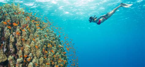 Best Snorkeling in Hawaii | Insider Families