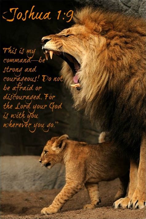 71066cae4b65623f3820a46705a397b0.jpg 550×827 pixels | Bible, Lions ...