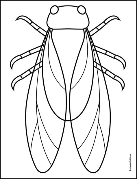 Easy How to Draw a Cicada Tutorial and Cicada Coloring Page