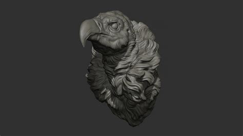 ArtStation - Vulture head | Resources