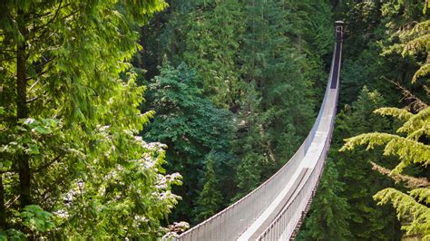 A Day Trip to Capilano Suspension Bridge Park in Vancouver - Lez See the World