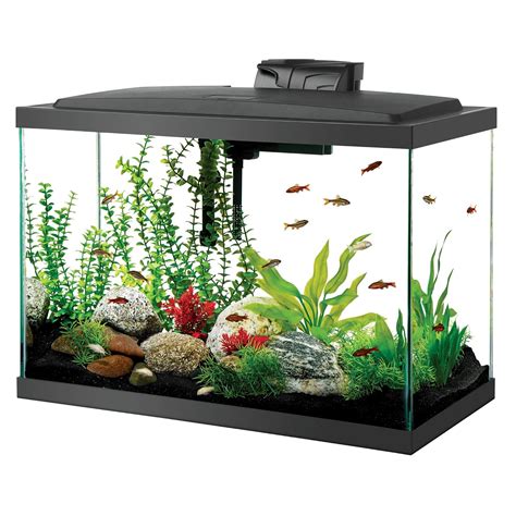 Small Glass Fish Tank With Filter ~ Aquarium Planer 2.0 Kostenlos ...