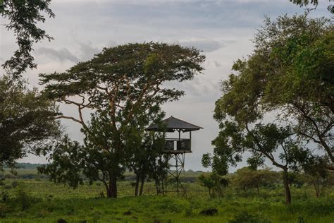 Baluran National Park - East Java - Duniart - Photography and Blog by Toine IJsseldijk