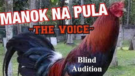 #MANOK NA #PULA SA “#THE #VOICE” BLIND AUDITION | JUST ANOTHER WOMAN ...