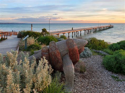 Seaford Beach and Pier, Attraction, Mornington Peninsula, Victoria ...