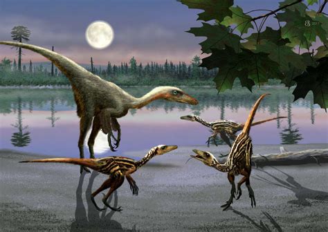 10 Facts About Troodon, a Dinosaur of the Cretaceous Period