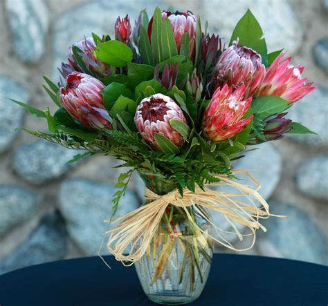 Sugar Bush Protea Bouquet (SF127) by Sherwood Florist & UniqueArt Gallery