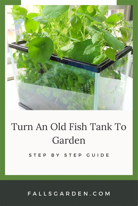 How To Turn A Fish Tank Into A Garden: Step By Step Guide - FallsGarden