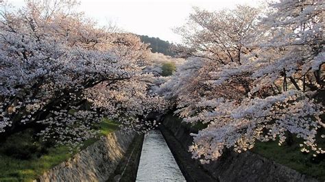 The Lake Biwa Canal / Otsu, Shiga | Nipponderful.com